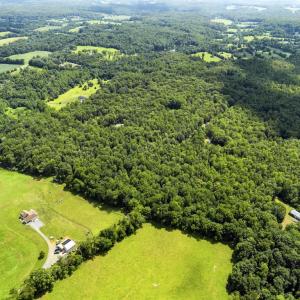 Photo #7 of COUNTRY CREEK LN, AMISSVILLE, VA 14.0 acres