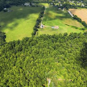 Photo #8 of COUNTRY CREEK LN, AMISSVILLE, VA 14.0 acres