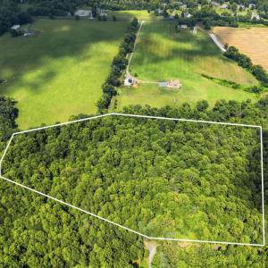 Photo #9 of COUNTRY CREEK LN, AMISSVILLE, VA 14.0 acres