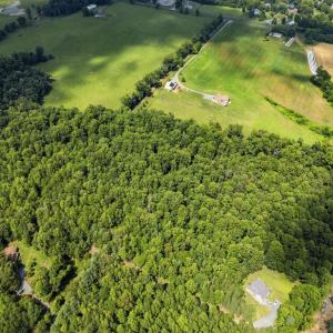 Photo #10 of COUNTRY CREEK LN, AMISSVILLE, VA 14.0 acres