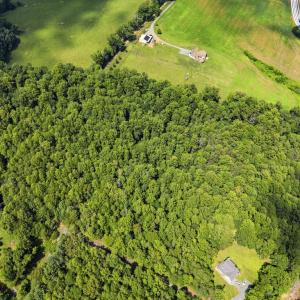 Photo #11 of COUNTRY CREEK LN, AMISSVILLE, VA 14.0 acres