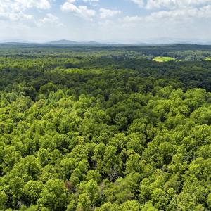 Photo #12 of COUNTRY CREEK LN, AMISSVILLE, VA 14.0 acres