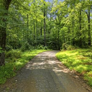 Photo #13 of COUNTRY CREEK LN, AMISSVILLE, VA 14.0 acres