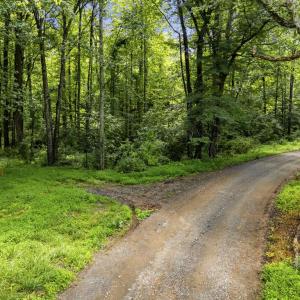 Photo #19 of COUNTRY CREEK LN, AMISSVILLE, VA 14.0 acres