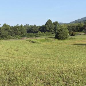 Photo #7 of BANK ROAD, WASHINGTON, VA 4.8 acres