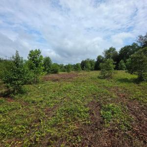 Photo #5 of 24375 CONSTITUTION HWY, UNIONVILLE, VA 2.3 acres