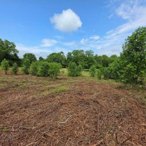 Photo #6 of 24375 CONSTITUTION HWY, UNIONVILLE, VA 2.3 acres