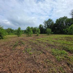 Photo #7 of 24375 CONSTITUTION HWY, UNIONVILLE, VA 2.3 acres