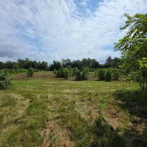 Photo #9 of 24375 CONSTITUTION HWY, UNIONVILLE, VA 2.3 acres