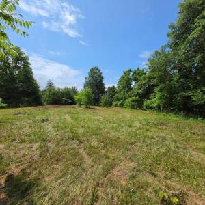 Photo #10 of 24375 CONSTITUTION HWY, UNIONVILLE, VA 2.3 acres