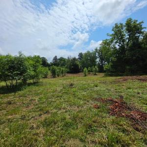 Photo #11 of 24375 CONSTITUTION HWY, UNIONVILLE, VA 2.3 acres