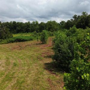Photo #19 of 24375 CONSTITUTION HWY, UNIONVILLE, VA 2.3 acres