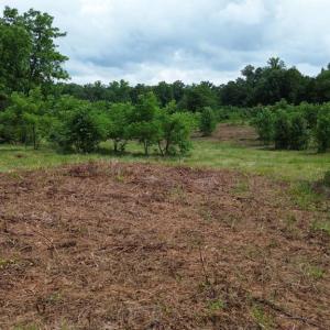 Photo #22 of 24375 CONSTITUTION HWY, UNIONVILLE, VA 2.3 acres