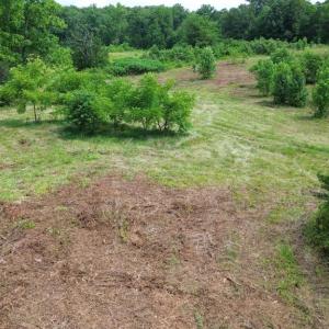 Photo #15 of 24375 CONSTITUTION HWY, UNIONVILLE, VA 2.3 acres