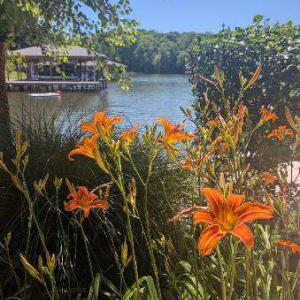 Photo #5 of COMMODORE LN, BUMPASS, VA 2.0 acres