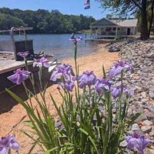 Photo #6 of COMMODORE LN, BUMPASS, VA 2.0 acres