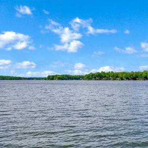 Photo #7 of 203 BATTLEFIELD RD, LOCUST GROVE, VA