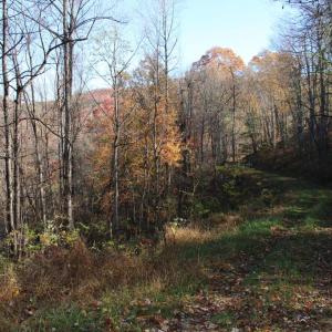 Photo #7 of 00 OVERLOOK MOUNTAIN RD, ELKTON, VA 6.7 acres