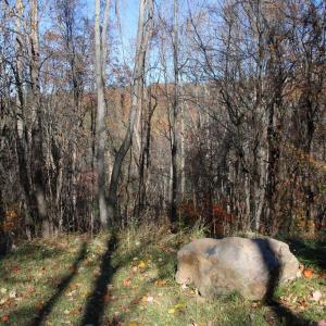 Photo #15 of 00 OVERLOOK MOUNTAIN RD, ELKTON, VA 6.7 acres