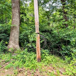 Photo #5 of 3964 HIDDEN VALLEY LN, MARSHALL, VA 5.0 acres