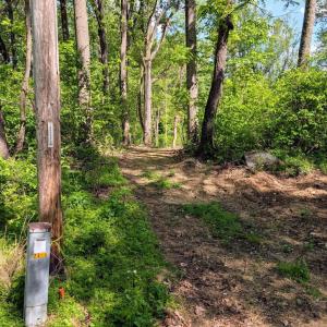 Photo #6 of 3964 HIDDEN VALLEY LN, MARSHALL, VA 5.0 acres