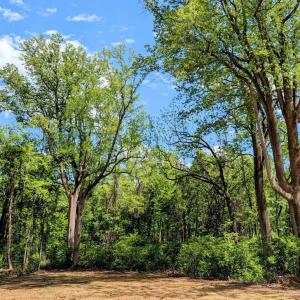 Photo #9 of 3964 HIDDEN VALLEY LN, MARSHALL, VA 5.0 acres