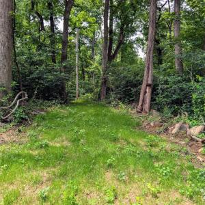 Photo #25 of 3964 HIDDEN VALLEY LN, MARSHALL, VA 5.0 acres