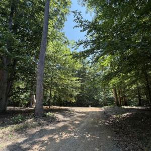 Photo #7 of PARRISH RD, LOUISA, VA 5.2 acres