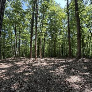 Photo #2 of PARRISH RD, LOUISA, VA 5.2 acres