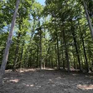 Photo #8 of PARRISH RD, LOUISA, VA 5.2 acres