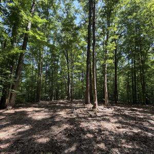 Photo #1 of PARRISH RD, LOUISA, VA 5.2 acres