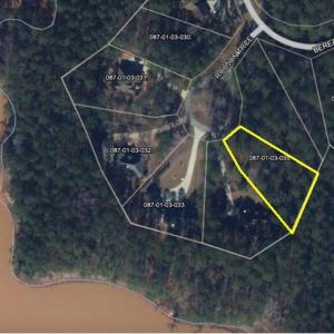 Lot Overview
