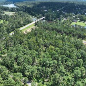 Plantation fury (24)