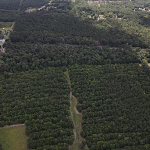 DJI_0526