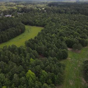 DJI_0525