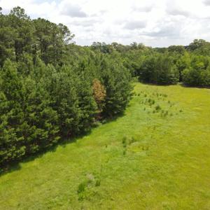 DJI_0552