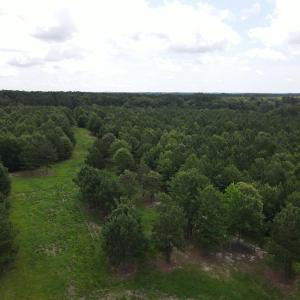 DJI_0524