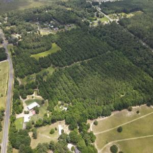 DJI_0541