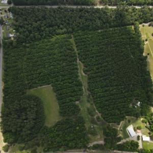 DJI_0527
