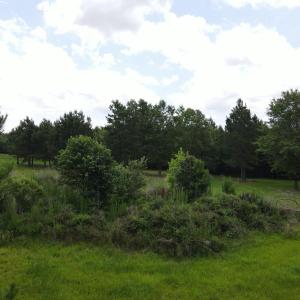 DJI_0522