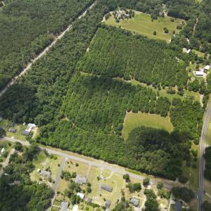 DJI_0532