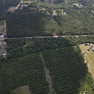 DJI_0528