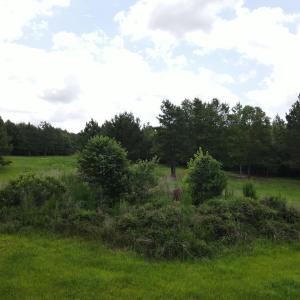 DJI_0523
