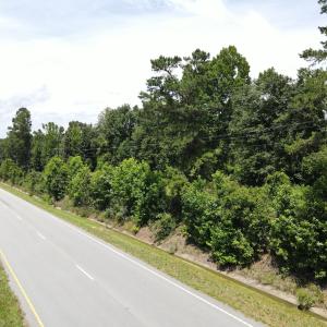 DJI_0597