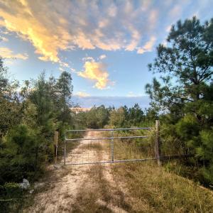 44 Acres
