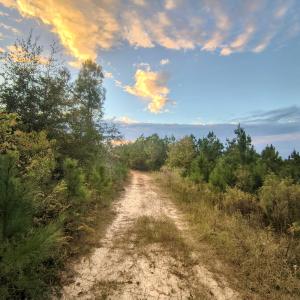 44 Acres