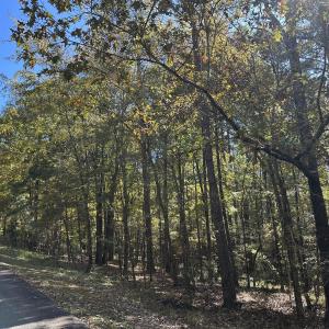 IMG_1058