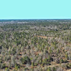 Hwy78_8
