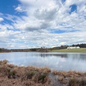 Pond Views!