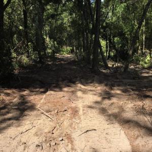 Photo #3 of 6 Acres Woodberry, North Augusta, SC